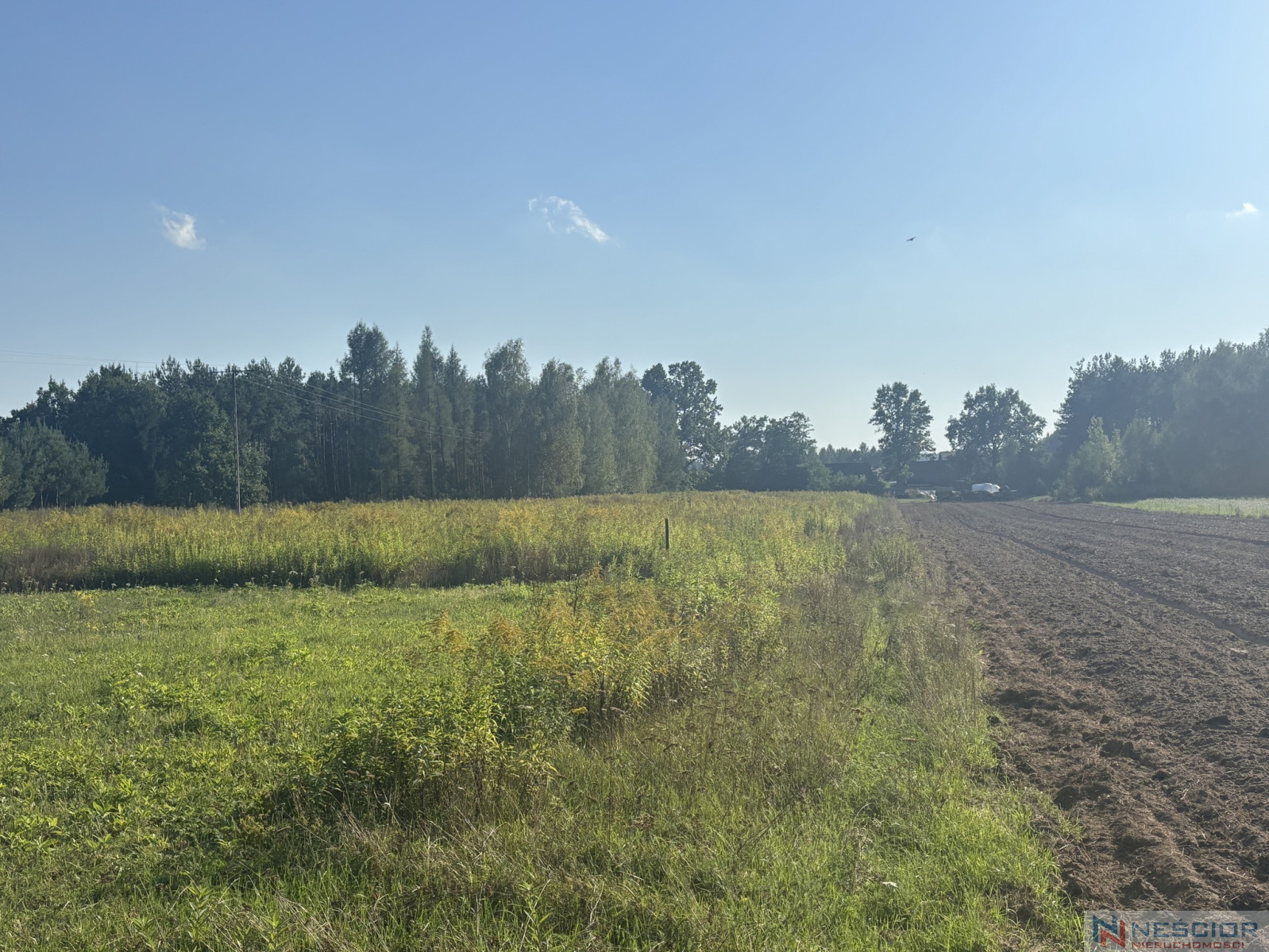 Parcela Venta Gołąbek Osiedlowa 5