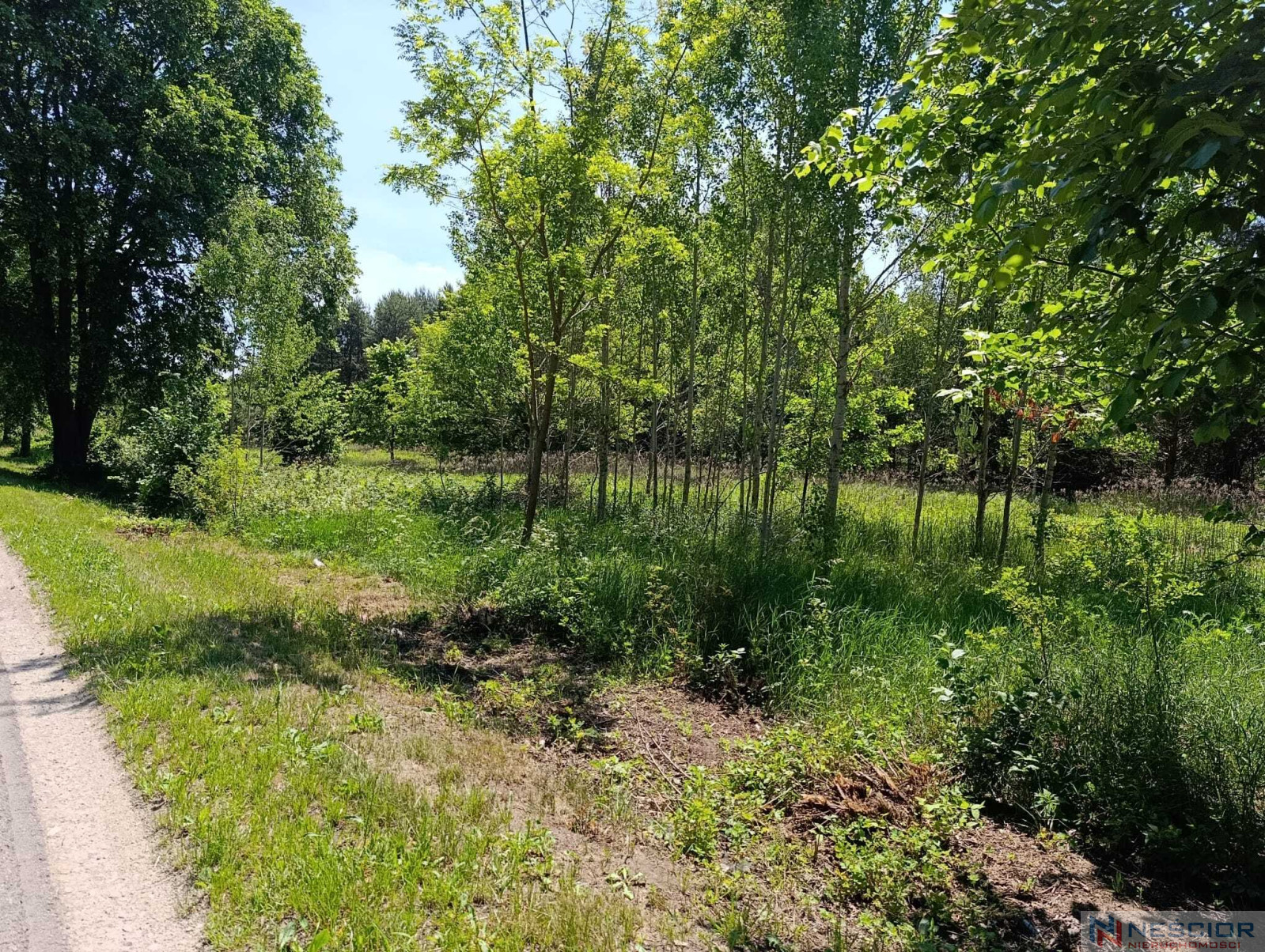 Plot Sale Gołąbek Osiedlowa 11