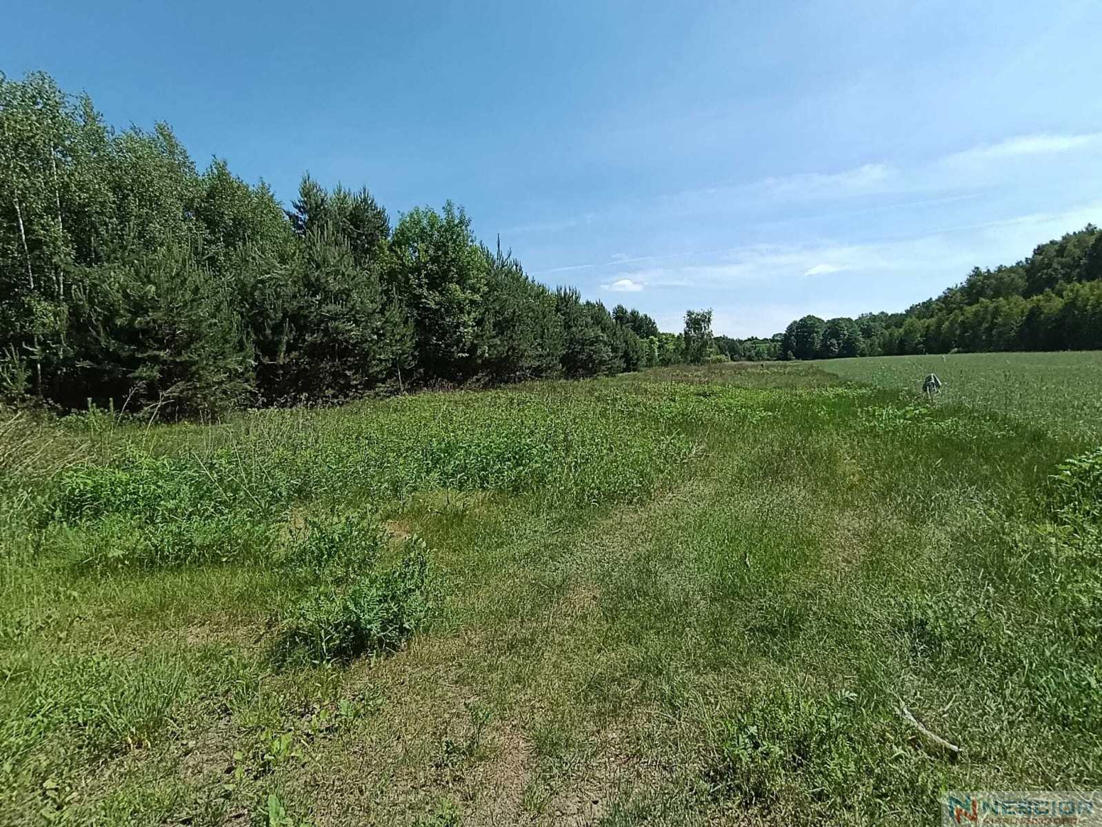 Plot Sale Gołąbek Osiedlowa 24