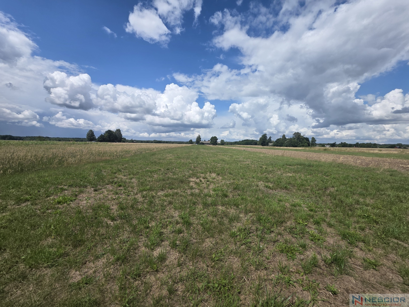 Участок Продажа Dobrzanów 6