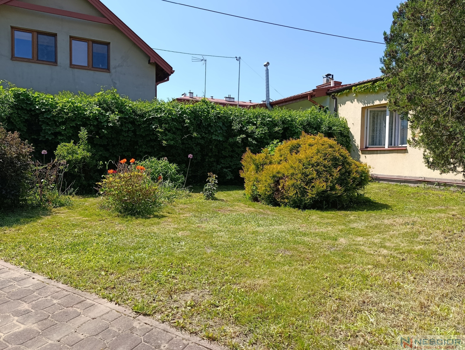 Дом Продажа Siedlce 3