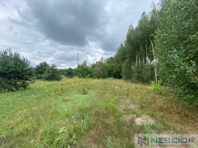Plot Sale Gołąbek 2