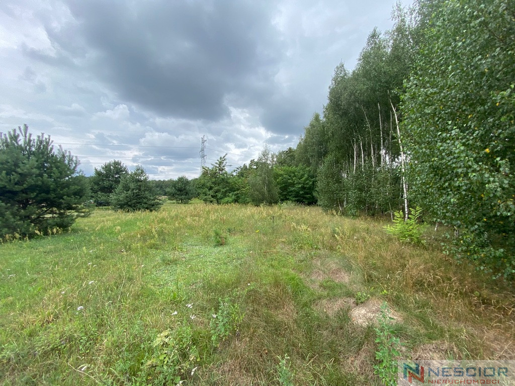 Plot Sale Gołąbek