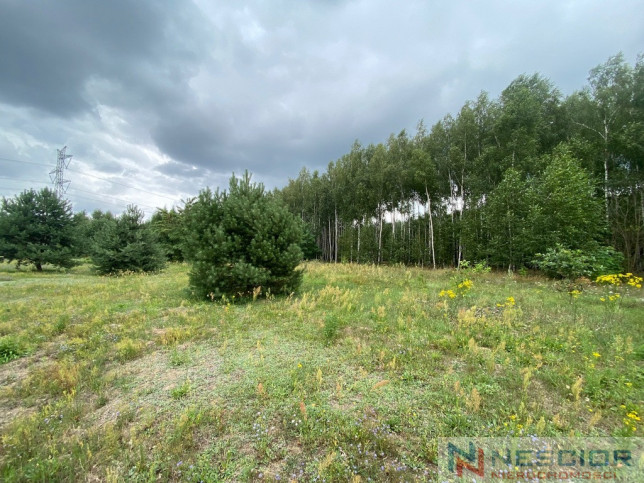 Plot Sale Gołąbek 3