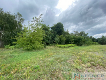 Plot Sale Gołąbek
