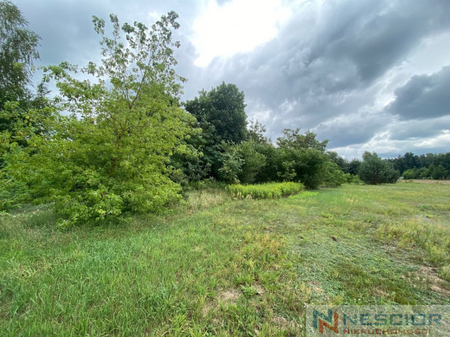 Plot Sale Gołąbek 5