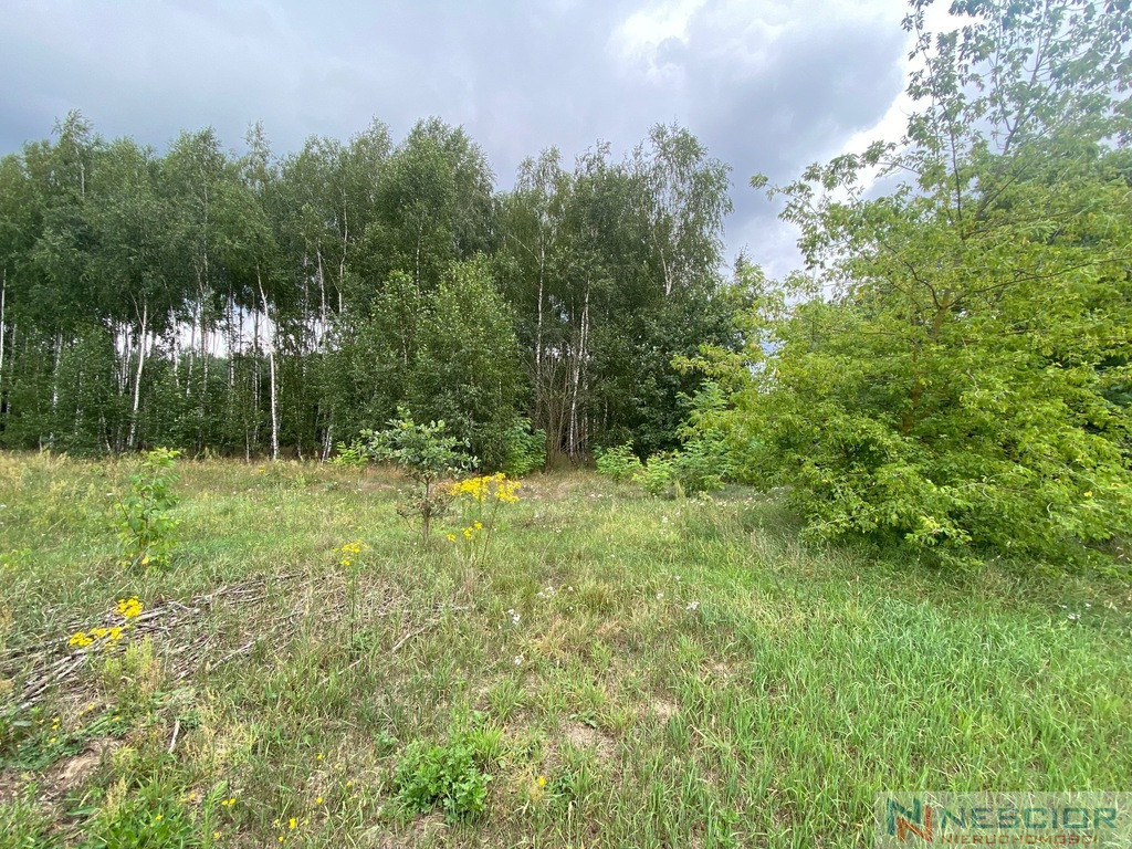Plot Sale Gołąbek