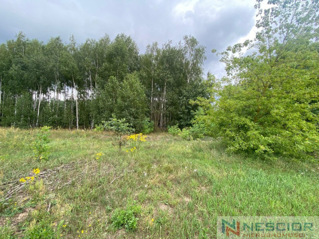 Plot Sale Gołąbek 6