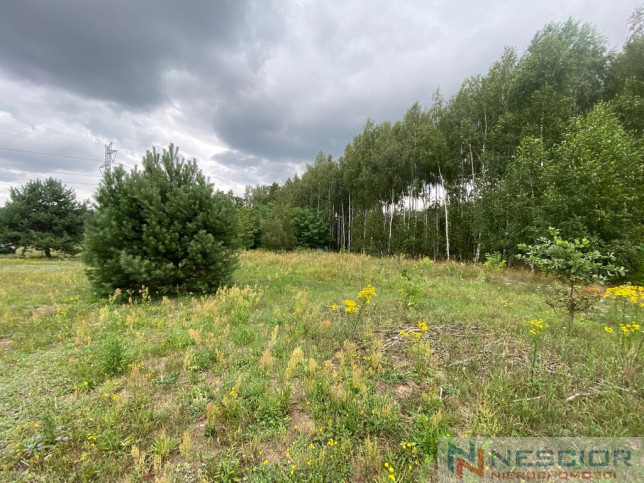 Plot Sale Gołąbek 7