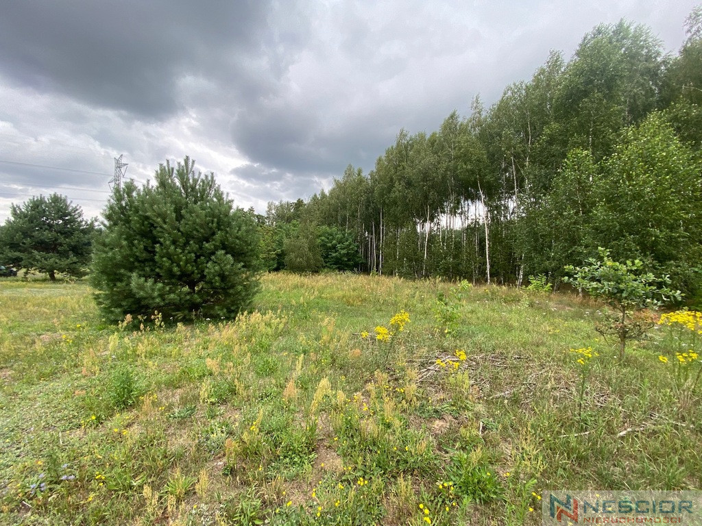Plot Sale Gołąbek