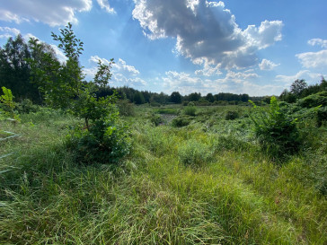 Casa Venta Stok Wiśniewski