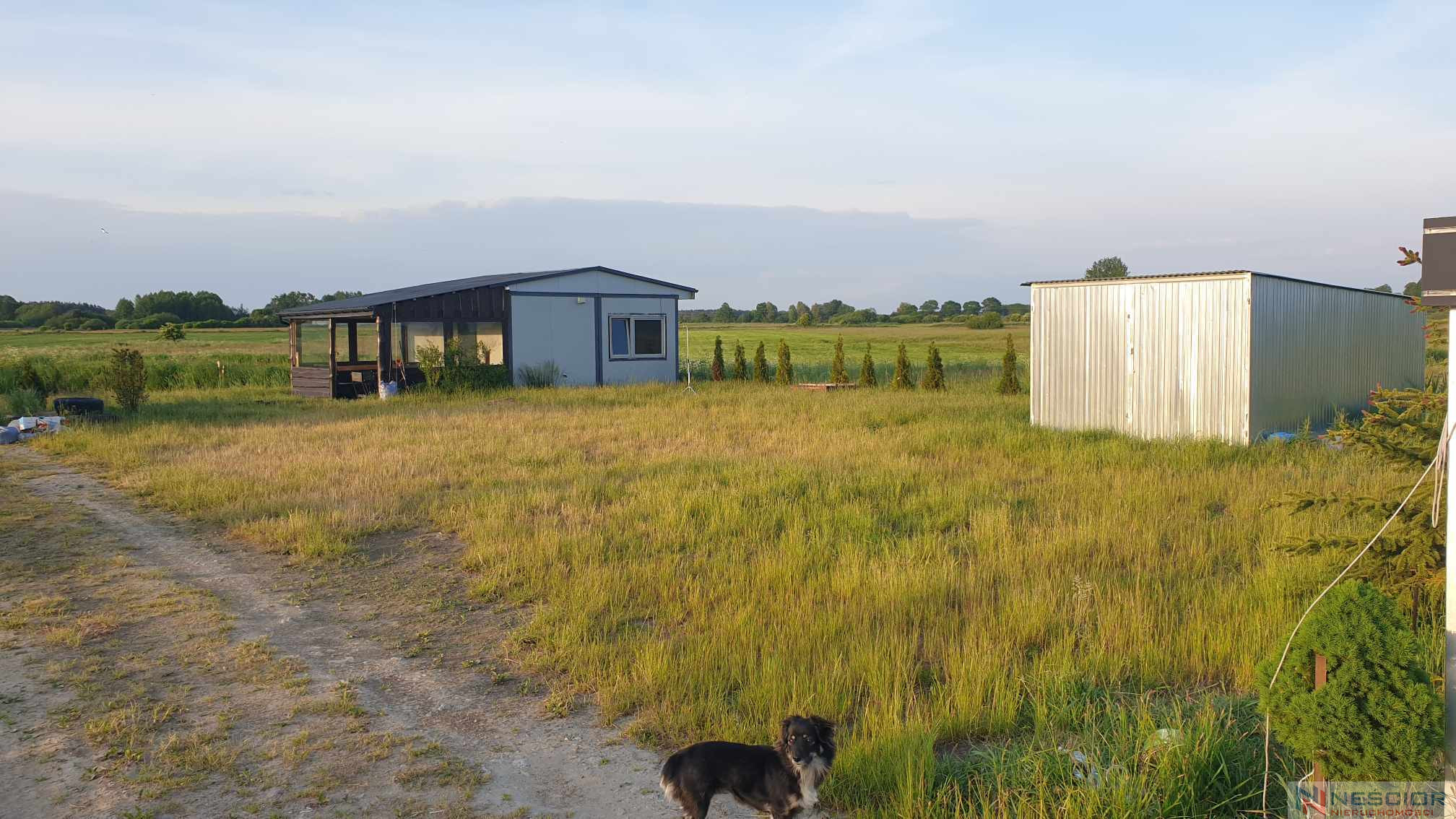 Plot Sale Kopcie