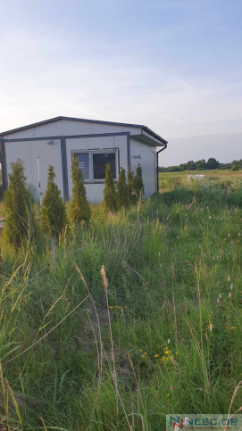 Plot Sale Kopcie 5