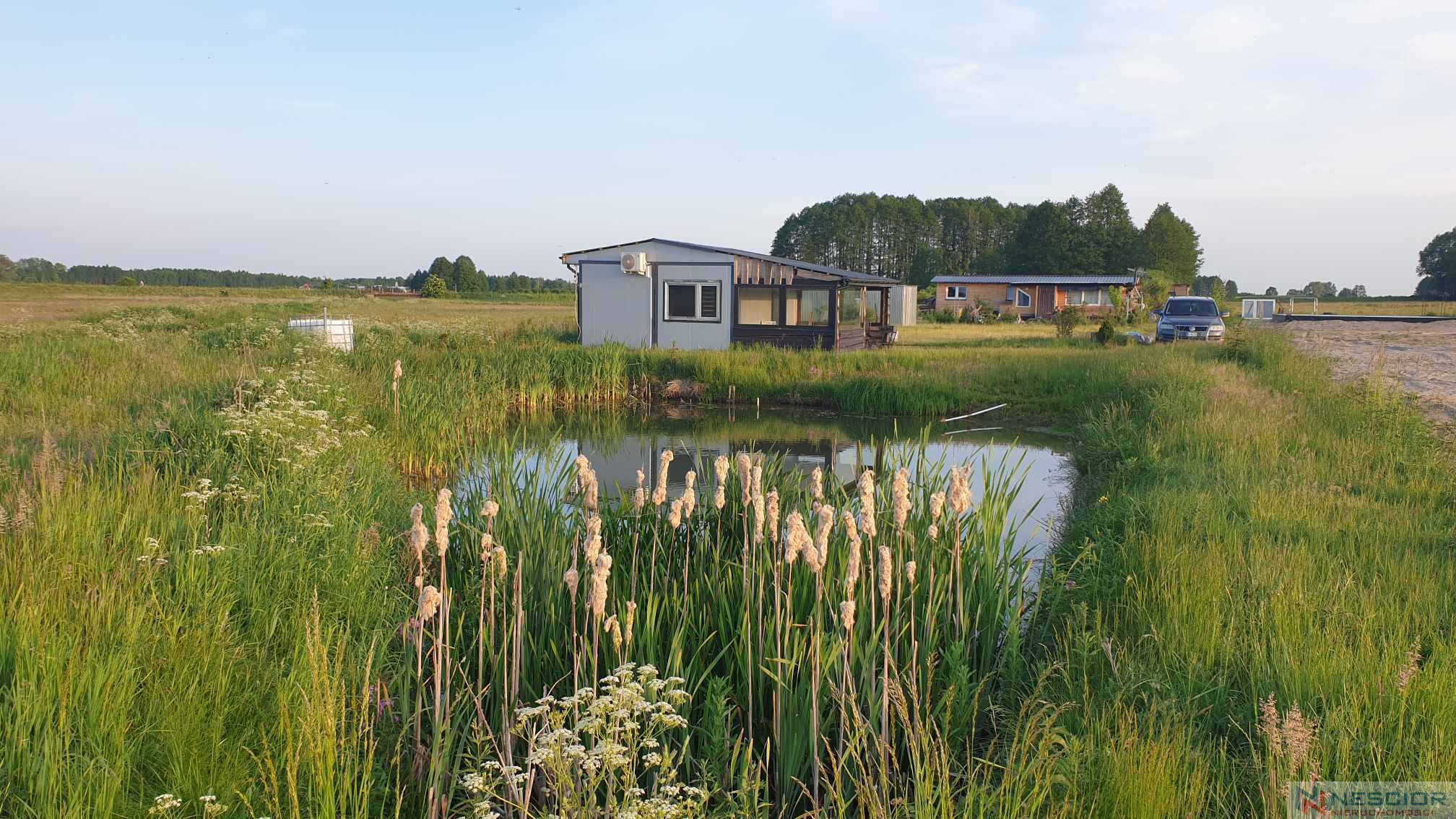 Plot Sale Kopcie