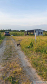 Plot Sale Kopcie