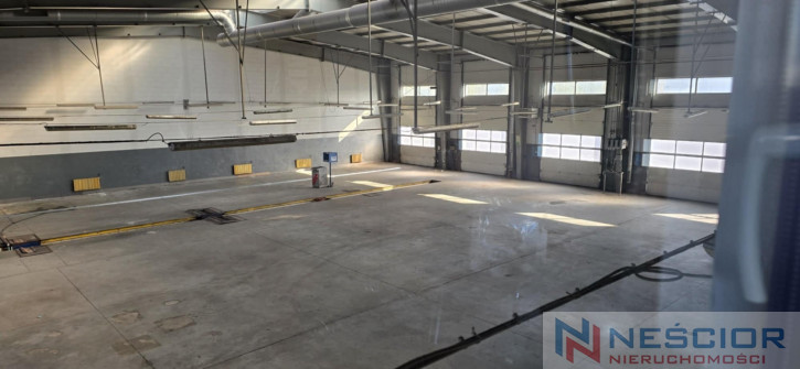 Commercial object Rent Siedlce Budowlana 8