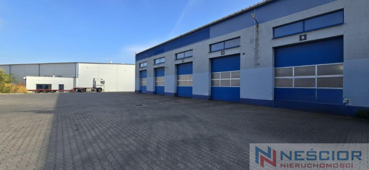 Commercial object Rent Siedlce Budowlana 6