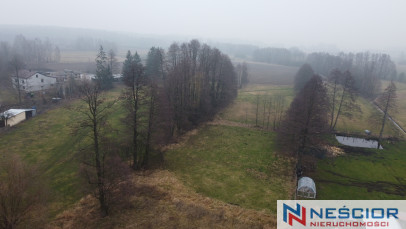 Działka Sprzedaż Krzymosze
