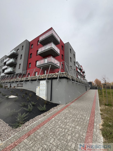 Mieszkanie Sprzedaż Siedlce Spokojna 11