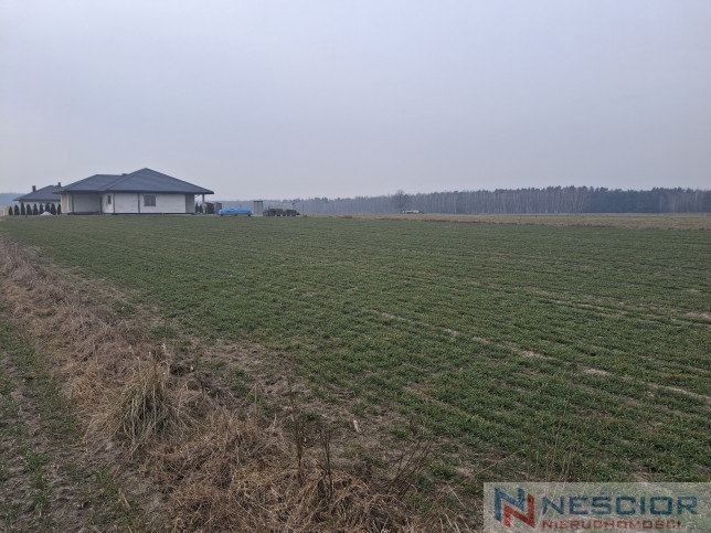 Участок Продажа Boroszków 4