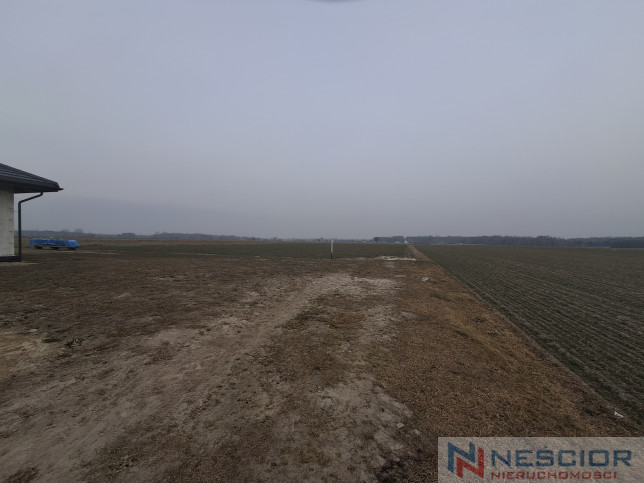 Участок Продажа Boroszków 2