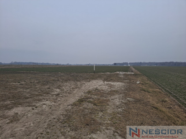 Участок Продажа Boroszków 1