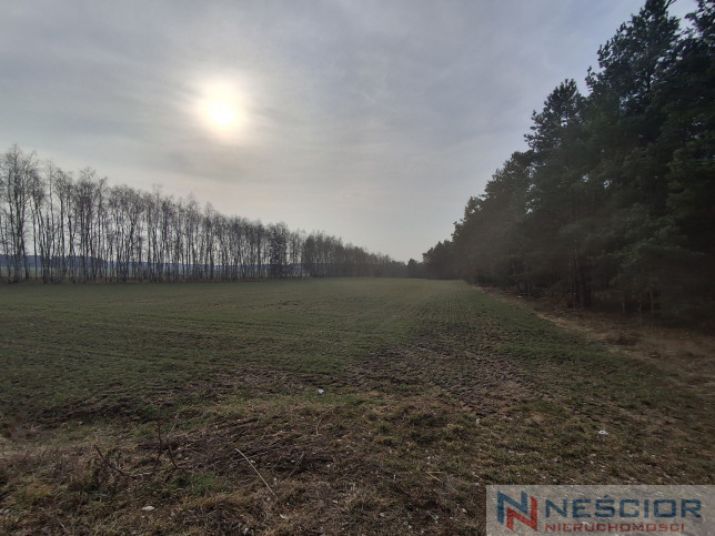 Działka Sprzedaż Boroszków 1