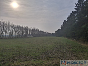 Участок Продажа Boroszków