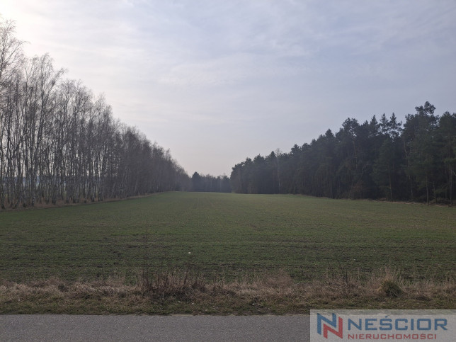 Działka Sprzedaż Boroszków 2