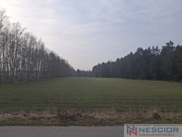 Участок Продажа Boroszków