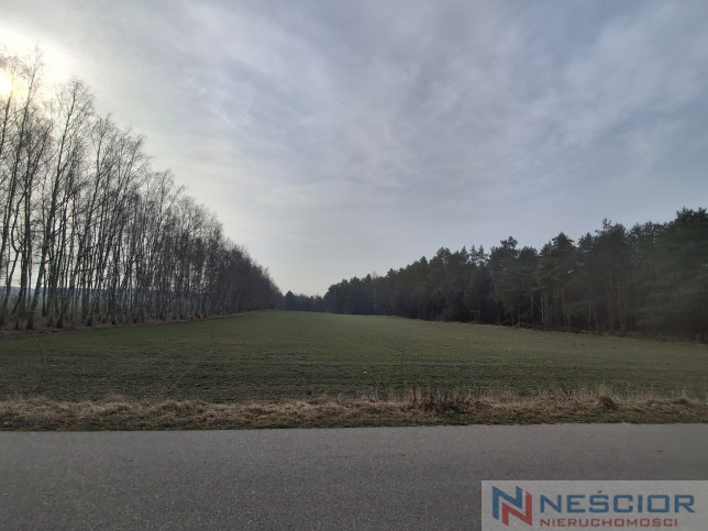 Działka Sprzedaż Boroszków 5