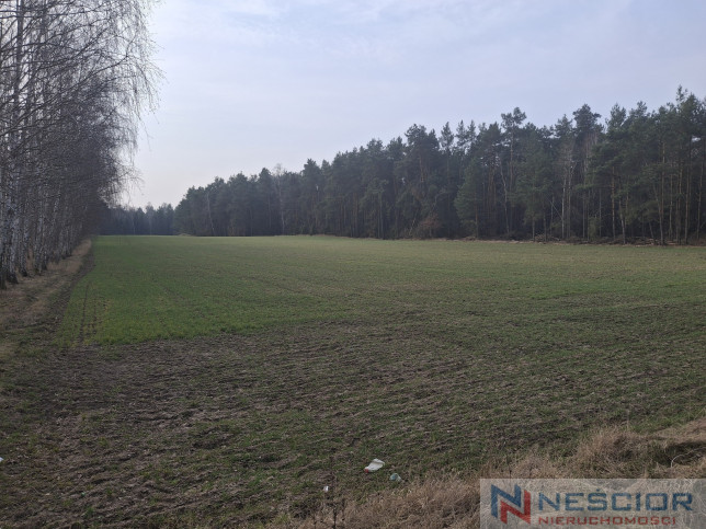 Działka Sprzedaż Boroszków 4