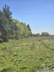 Plot Sale Klimonty