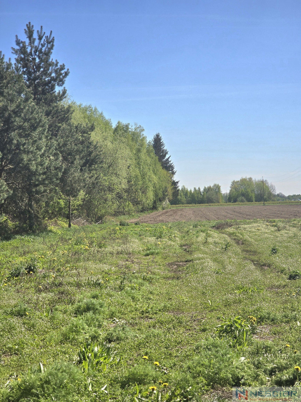 Plot Sale Klimonty