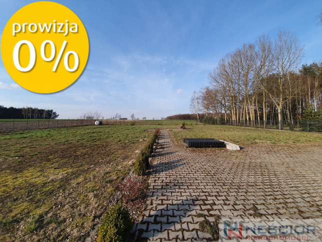 Lokal Sprzedaż Siedlce 5