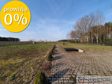 Lokal Sprzedaż Siedlce