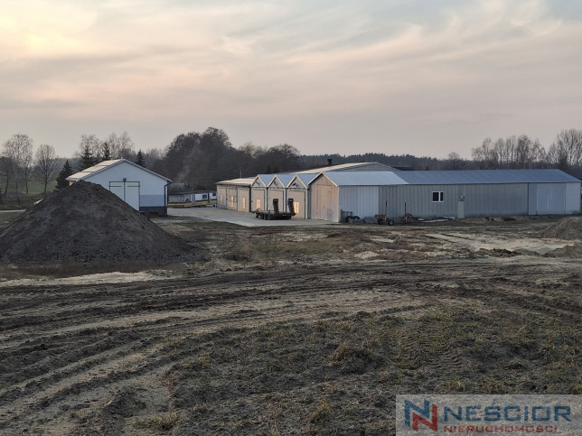Parcela Venta Cisie-Zagrudzie 4
