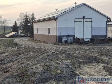 Parcela Venta Cisie-Zagrudzie