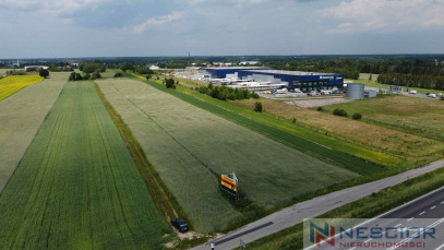 Plot Sale Ujrzanów