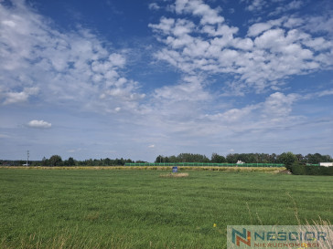 Plot Sale Żelków-Kolonia Wesoła