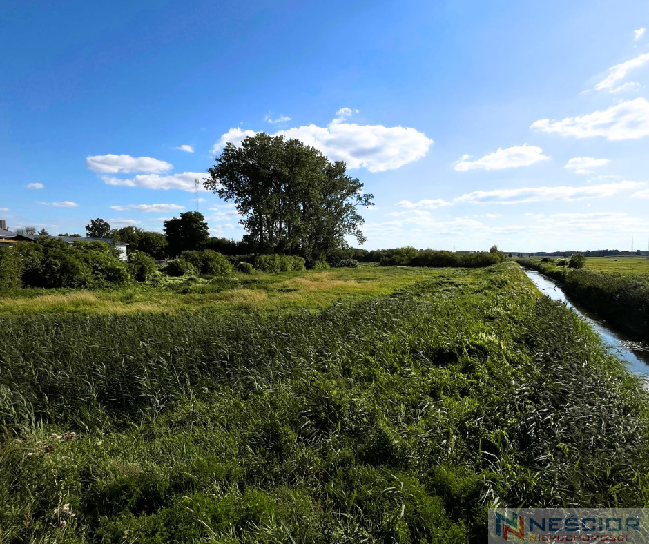Plot Sale Łosice Myśliwska