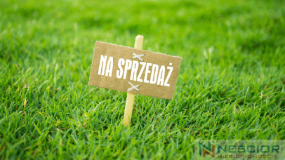 Plot Sale Nowe Opole Klonowa