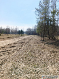 Parcela Venta Leontyna