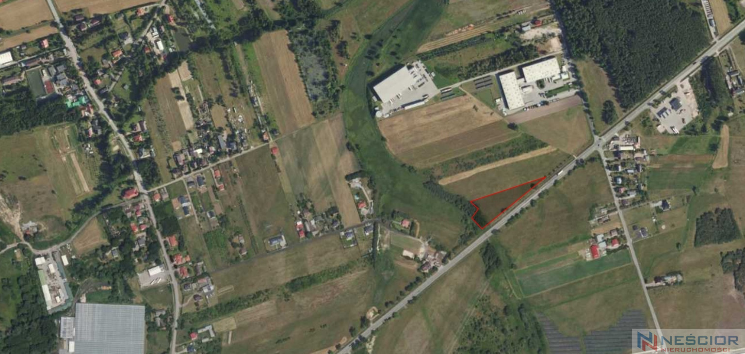 Plot Sale Całowanie