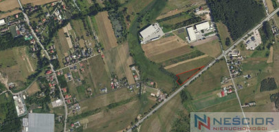 Plot Sale Całowanie