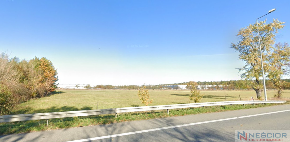 Plot Sale Całowanie