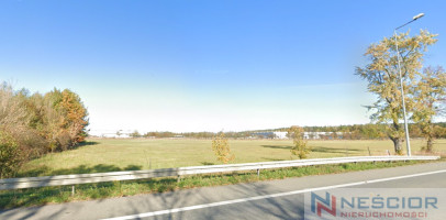 Plot Sale Całowanie