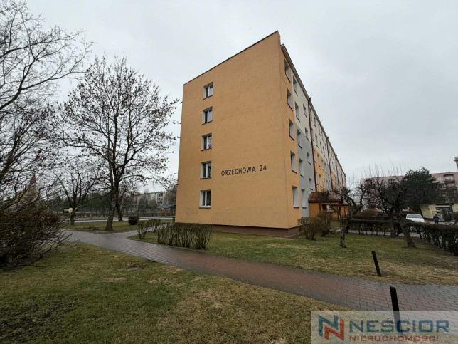 Departamento Venta Biała Podlaska Orzechowa 27