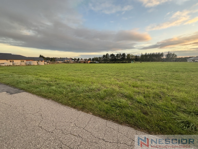 Parcela Venta Teodorów 2