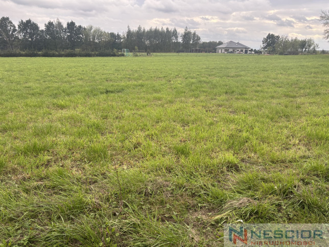 Parcela Venta Teodorów 3